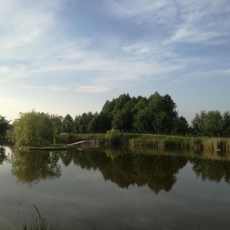 Agrowczasy Nad Stawem Villa Gartatowice Eksteriør bilde