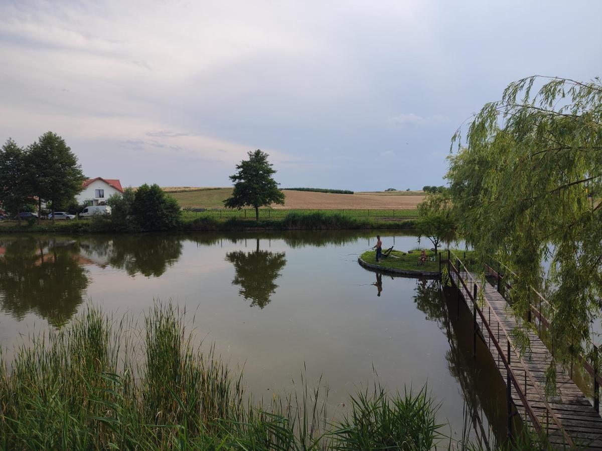 Agrowczasy Nad Stawem Villa Gartatowice Eksteriør bilde